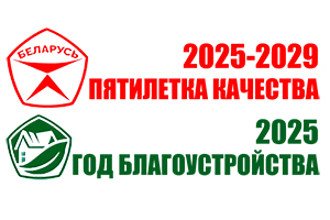 Год качества